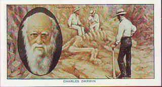 Charles Darwin dinosaur hunter (featured on a  cigraette card)