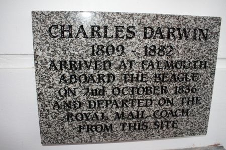 800px-Charles_Darwin_Voyage_of_The_Beagle_plaque_Falmouth_Cornwall